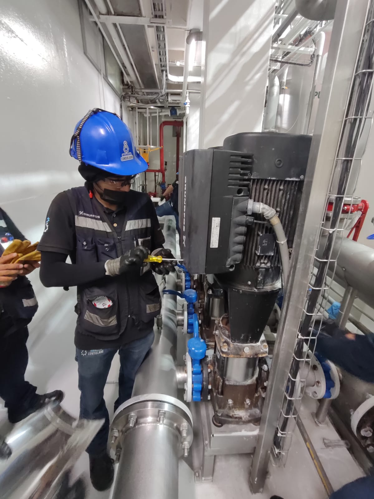 Ingeniería Consulado Servicio